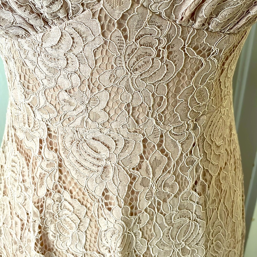 Anthropologie NWT Fame and Partners Charlotte Lace Maxi Gown Size 6 Blush‎ - Picture 6 of 10